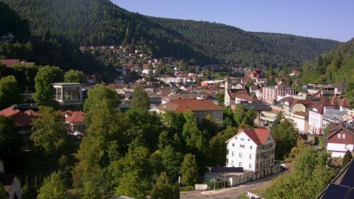 Webcam Bad Wildbad