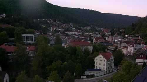 Webcam Bad Wildbad