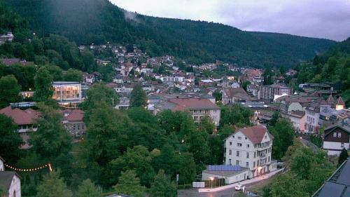 Webcam Bad Wildbad