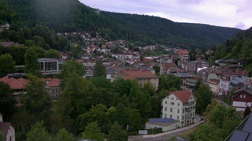 Webcam Bad Wildbad