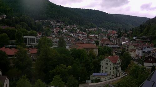 Webcam Bad Wildbad