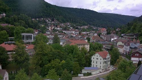 Webcam Bad Wildbad