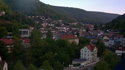 Webcam Bad Wildbad
