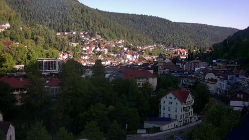 Webcam Bad Wildbad