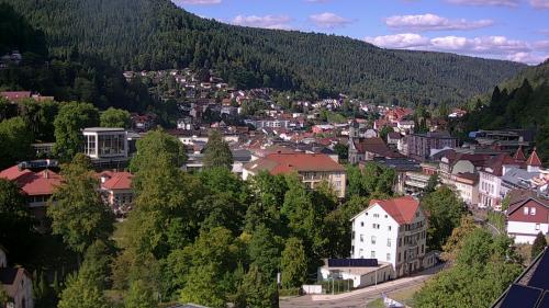 Webcam Bad Wildbad