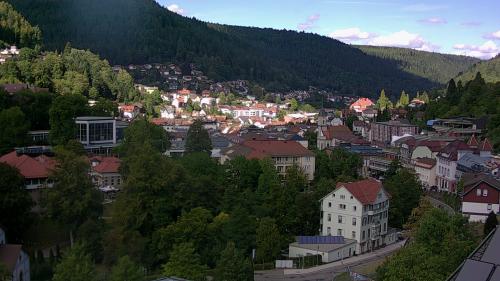 Webcam Bad Wildbad