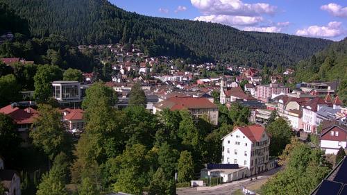 Webcam Bad Wildbad