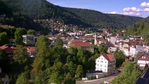Webcam Bad Wildbad