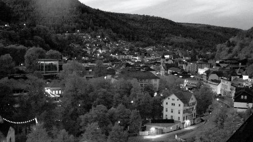 Webcam Bad Wildbad