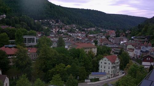 Webcam Bad Wildbad