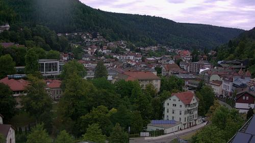 Webcam Bad Wildbad