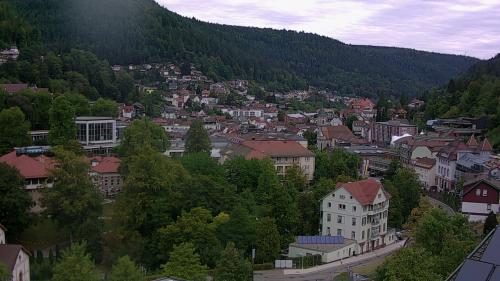 Webcam Bad Wildbad