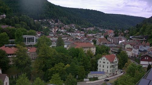 Webcam Bad Wildbad