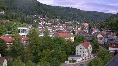 Webcam Bad Wildbad