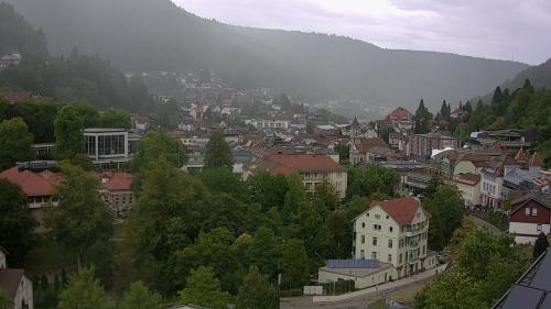 Webcam Bad Wildbad