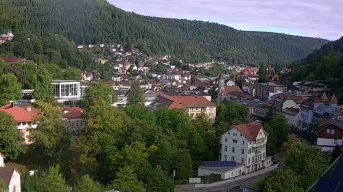 Webcam Bad Wildbad