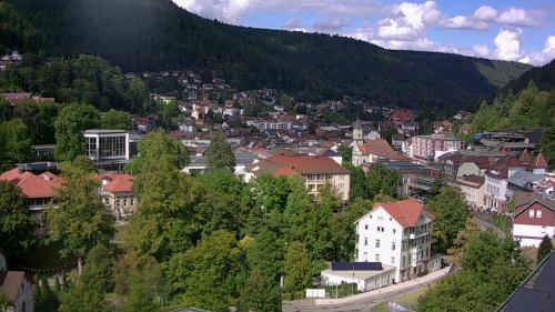 Webcam Bad Wildbad