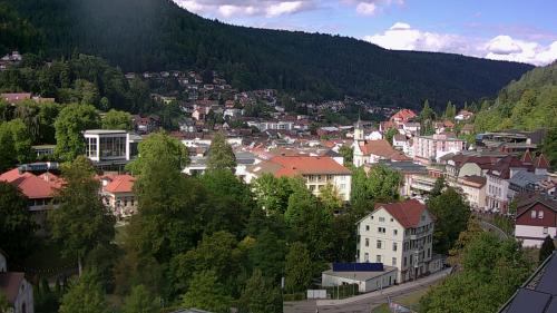 Webcam Bad Wildbad