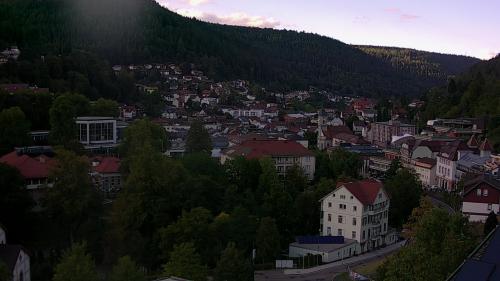 Webcam Bad Wildbad