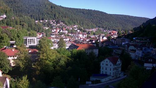 Webcam Bad Wildbad