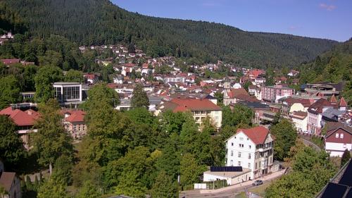 Webcam Bad Wildbad