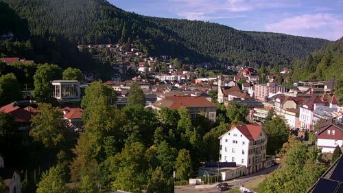 Webcam Bad Wildbad
