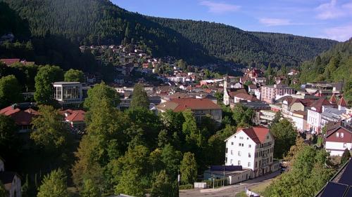 Webcam Bad Wildbad