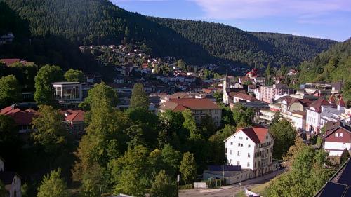 Webcam Bad Wildbad
