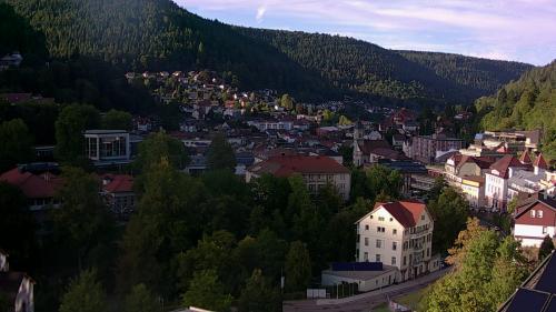 Webcam Bad Wildbad