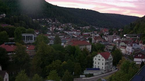 Webcam Bad Wildbad
