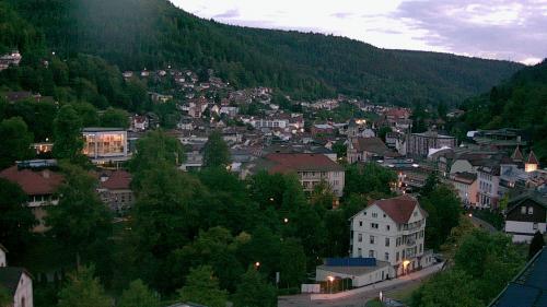 Webcam Bad Wildbad