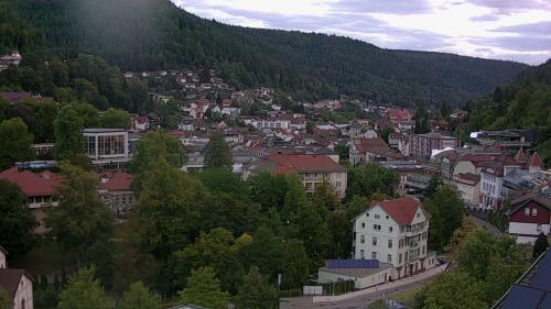 Webcam Bad Wildbad