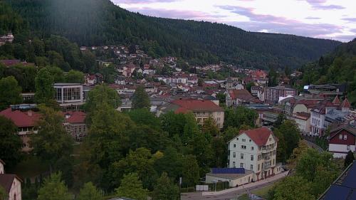 Webcam Bad Wildbad