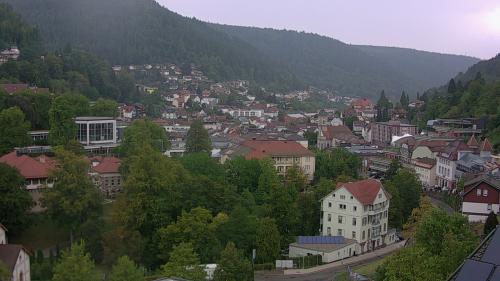 Webcam Bad Wildbad