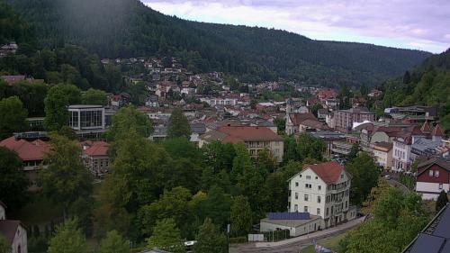Webcam Bad Wildbad