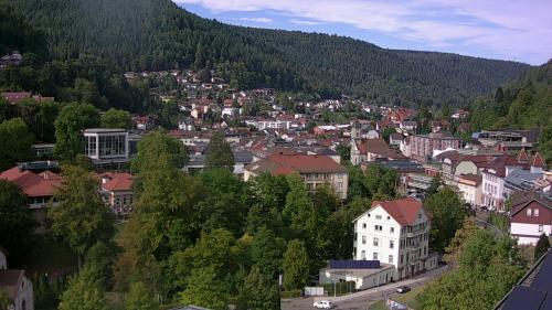 Webcam Bad Wildbad