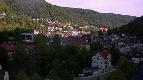 Webcam Bad Wildbad