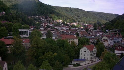 Webcam Bad Wildbad