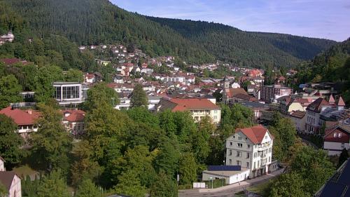 Webcam Bad Wildbad