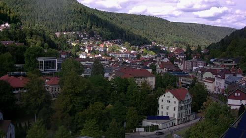 Webcam Bad Wildbad