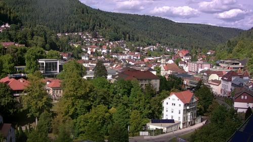 Webcam Bad Wildbad