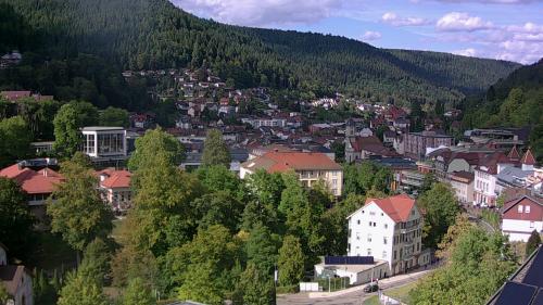 Webcam Bad Wildbad