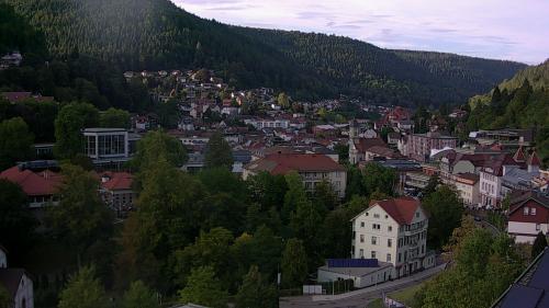 Webcam Bad Wildbad