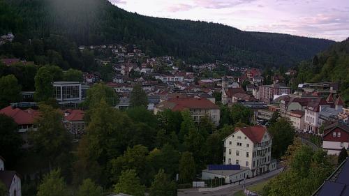 Webcam Bad Wildbad