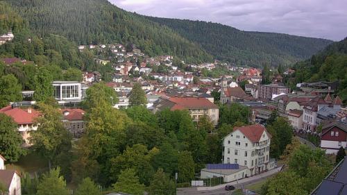 Webcam Bad Wildbad