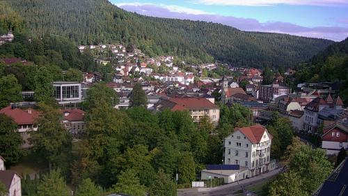 Webcam Bad Wildbad