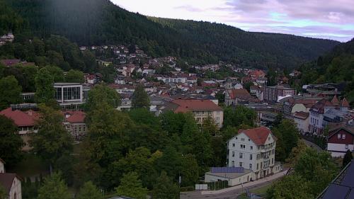 Webcam Bad Wildbad