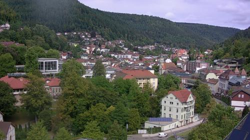 Webcam Bad Wildbad