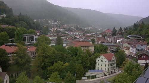 Webcam Bad Wildbad