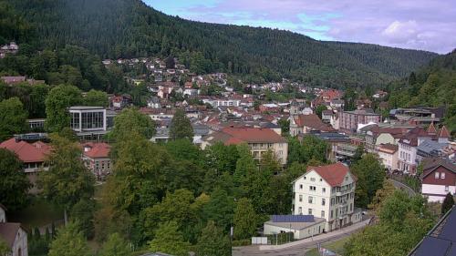 Webcam Bad Wildbad